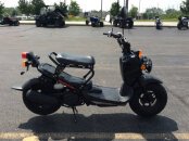 2019 Honda Ruckus