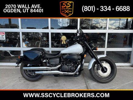 Photo 1 for 2019 Honda Shadow Phantom
