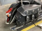 Thumbnail Photo 5 for 2019 Indian Chief Vintage