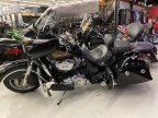 Thumbnail Photo 5 for 2019 Indian Chieftain Classic Icon