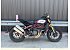 2019 Indian FTR 1200 S Race Replica