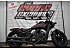 2019 Indian Scout