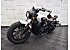 2019 Indian Scout