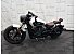 2019 Indian Scout