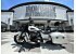 2019 Indian Springfield Dark Horse