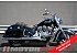 2019 Indian Springfield