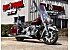 2019 Indian Springfield