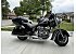 2019 Indian Springfield