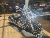 2019 Indian Springfield