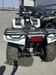Thumbnail Photo 5 for 2019 Kawasaki Brute Force 750 4x4i EPS