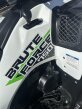 Thumbnail Photo 1 for 2019 Kawasaki Brute Force 750 4x4i EPS