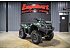 2019 Kawasaki Brute Force 750 4x4i