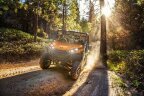 Thumbnail Photo 3 for 2019 Kawasaki Teryx LE