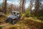 Thumbnail Photo 4 for 2019 Kawasaki Teryx LE