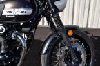 Thumbnail Photo 2 for 2019 Kawasaki W800 Cafe