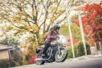 Thumbnail Photo 4 for 2019 Kawasaki W800