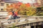Thumbnail Photo 3 for 2019 Kawasaki W800