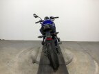 Thumbnail Photo 3 for 2019 Kawasaki Z650