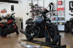 Thumbnail Photo 5 for 2019 Moto Guzzi V7 III Stone