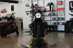 Thumbnail Photo 6 for 2019 Moto Guzzi V7 III Stone