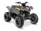 Thumbnail Photo 6 for 2019 Polaris Phoenix 200