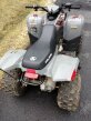 Thumbnail Photo 3 for 2019 Polaris Phoenix 200