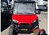 2019 Polaris Ranger 500