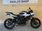 Thumbnail Photo 1 for 2019 Suzuki SV650 ABS