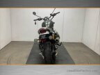 Thumbnail Photo 3 for 2019 Triumph Scrambler 1200 XC