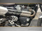 Thumbnail Photo 5 for 2019 Triumph Scrambler 1200 XC