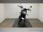 Thumbnail Photo 1 for 2019 Triumph Scrambler 1200 XC