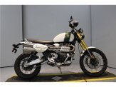 2019 Triumph Scrambler