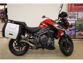 2019 Triumph Tiger 1200 XRT