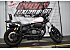 2019 Yamaha Bolt