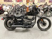 2019 Yamaha Bolt
