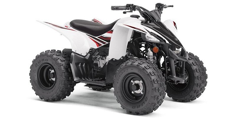 2019 Yamaha YFZ450R 50 Specifications, Photos, and Model Info
