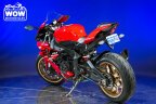 Thumbnail Photo 4 for 2019 Yamaha YZF-R1