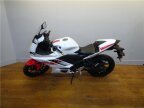 Thumbnail Photo 6 for 2019 Yamaha YZF-R3 ABS