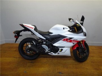 2019 Yamaha YZF-R3 ABS