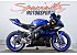 2019 Yamaha YZF-R6