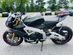 Thumbnail Photo 4 for 2020 Aprilia Tuono