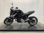 Thumbnail Photo 2 for 2020 BMW F900R