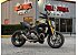 2020 Ducati Monster 1200