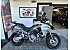 2020 Ducati Multistrada 1260