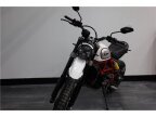 Thumbnail Photo 6 for 2020 Ducati Scrambler
