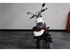 Thumbnail Photo 5 for 2020 Ducati Scrambler