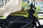 Thumbnail Photo 2 for 2020 Harley-Davidson Livewire