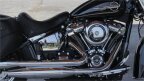 Thumbnail Photo 1 for 2020 Harley-Davidson Softail Heritage Classic