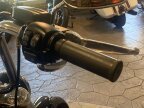 Thumbnail Photo 2 for 2020 Harley-Davidson Softail