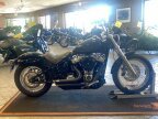 Thumbnail Photo 4 for 2020 Harley-Davidson Softail